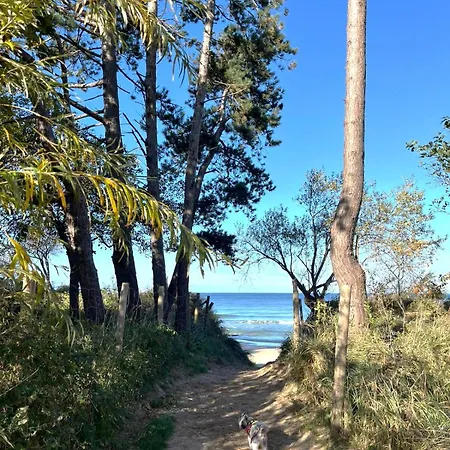 Let's Sea - Premium Z Ogrodkiem, Przyjazne Zwierzetom Апартаменты *